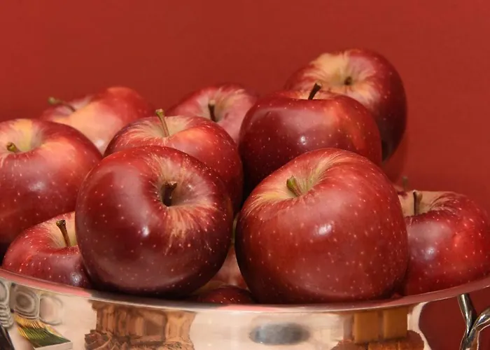 Hotel Dionisos Larissa